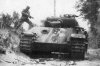 Panzerkampfwagen V Panther (20)